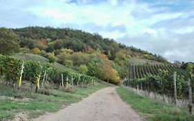Wanderglück Rotenfels